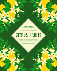 Citrus poster featuring lemons, blossoms, and lush green leaves with refined copy space. Decorative floral frame ideal for invitations, greeting cards, banners, labels, covers, and branding designs