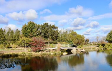 Obraz premium The bridge in the park on a sunny fall day.