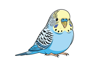Fototapeta premium Charming illustration of a common blue budgerigar, also known as a budgie or parakeet, standing on a white background.
