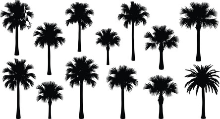 Fototapeta premium Palm tree silhouette, tropical design, black shape, botanical art, exotic plant, summer icon, nature element, beach vibe, island mood, foliage