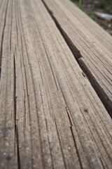 Fototapeta premium Wooden boardwalk in the park. Selective focus. Nature. AI Generated Wooden boardwalk in the park. Selective focus. Nature. AI