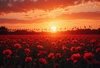 Beautiful red poppy flowers field at sunset. Panoramic view Generative AI Beautiful red poppy flowers field at sunset. Panoramic