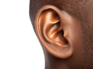 Highly detailed and realistically textured human ear, displaying warm brown skin tones and subtle highlights, is presented in a close-up view against a clean, isolated on transparent background.