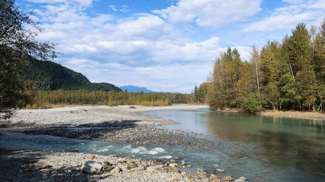 tranquil river with forest and golden autumn foliage in good weather blue sky day with relfection in the lake in Squamish Estuary, Whistler Canada, a place to see salmon