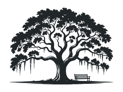 Large sprawling tree with hanging vines and a solitary bench beneath its branches