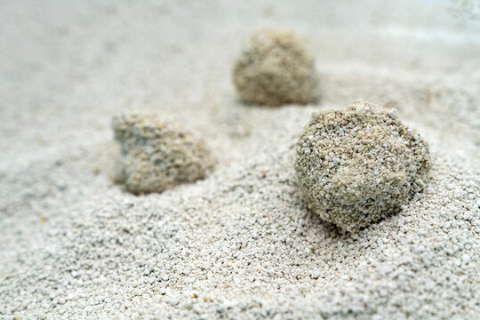 Cat litter granules close up. The texture of granular toilet filler. Cat litter in granules box. active carbon. texture pattern. Clean Cat litter in a litter tray. Background of white bentonite fresh