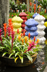 Nongnooch Botanical Garden. Vibrant decorative pots and colorful flowers in Pattaya, Thailand, showcasing tropical flora in a serene garden setting