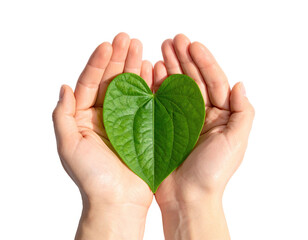 Two hands cradle a vibrant green leaf shaped like a heart, symbolizing nature's embrace