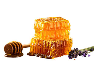 Close-up of stacked honeycombs, a dipper, and lavender, against black background