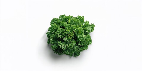 Fototapeta premium Fresh kale isolated on white, highlighting nutrient-rich leafy greens for plant-based meals, World Vegetarian Day