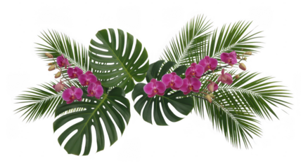 Tropical leaves and pink orchids monstera leaves palm leaves isolated on a transparent background