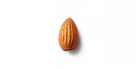 Single almond on a white background highlighting raw nut quality, suitable for dietary analysis