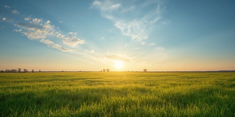 Naklejka premium Sky and vegetation with warm sunlight creating a vibrant summer scene, suitable as a background for text or layout