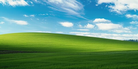 Fototapeta premium Lush grassy terrain with gentle curves used as an editorial header background, Earth Day