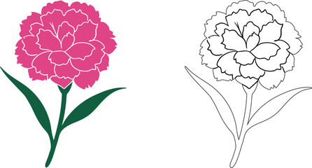 Illustrated comparison of a pink flower Vector © Rupali