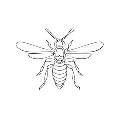 Fototapeta premium Detailed Single Line Art of a Wasp Featuring Delicate Wings and Segmented Body