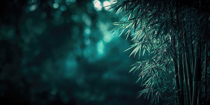 Bamboo plant captured at night, highlighting its silhouette against dark surroundings