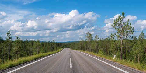 Asphalt road with markings and grassy shoulders passing through a pine forest, forest maintenance and safety, Earth Day