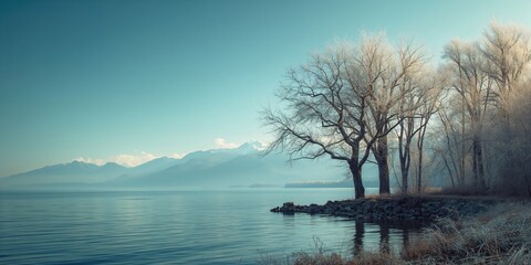 Winter trees against a bay landscape, highlighting erosion risk during seasonal transition