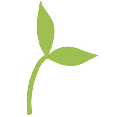 green leaf isolated on white