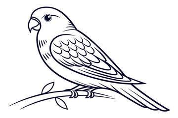 Obraz premium Cute love bird line drawing vector on white background