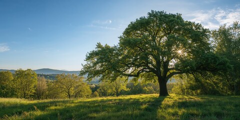 Beautiful natural scenery during this season, seasonal change and landscape preservation