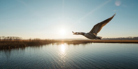 Naklejka premium Morning light illuminating a group of migrating geese over a lake, ideal for seasonal change documentation