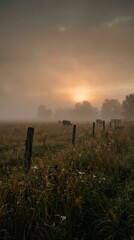 Serene Misty Sunrise Over Pasture with Grazing Cattle and Fencing