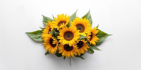 Sunflower and leaf display on white background serving as a visual element for graphic design, floral pattern