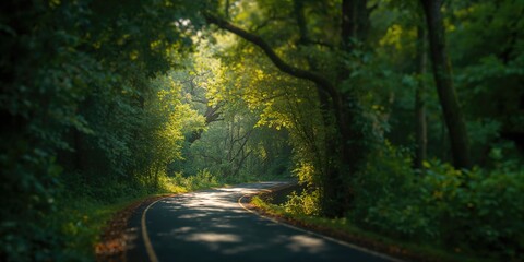 Kerala forest pathway, emphasizing biodiversity preservation and seasonal erosion