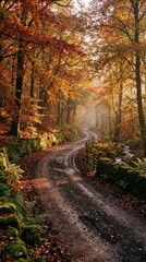 Fototapeta premium Serene Autumn Path in Lush Forest with Colorful Foliage