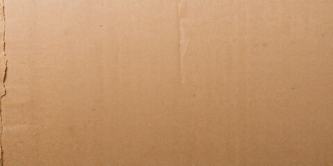 Fototapeta premium Aged paper surface texture used as a background for text or design projects, vintage style and readability