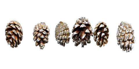 Pine Cones Hanging Ornaments in White Studio Background for Winter Holiday Decor