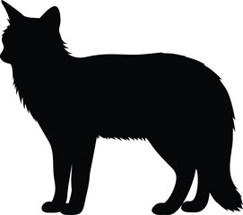 Obraz premium Fluffy Domestic Cat Silhouette Standing Composedly Showing Thick Fur and Distinctive Profile