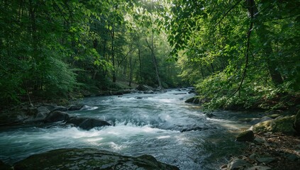 Lush forest with a winding river, emphasizing natural scenery for environmental or outdoor design purposes