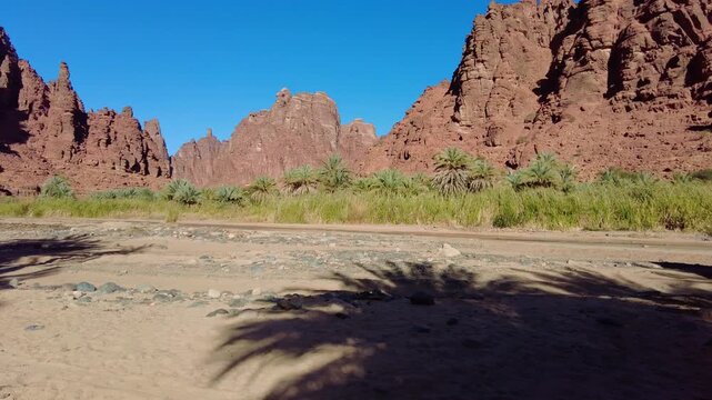Al-Disah, Saudi Arabia: Panoramic footage of the stunning wadi Al-Disah canyon famous for its red rock and palm tree near Tabuk in the desert of Saudi Arabia. 