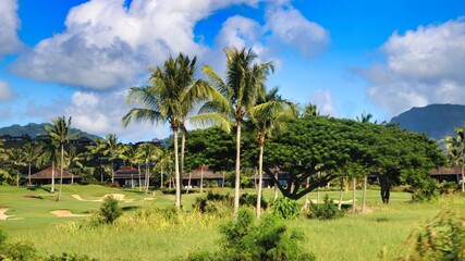 Fototapeta premium Nawiliwili, Hawai'i