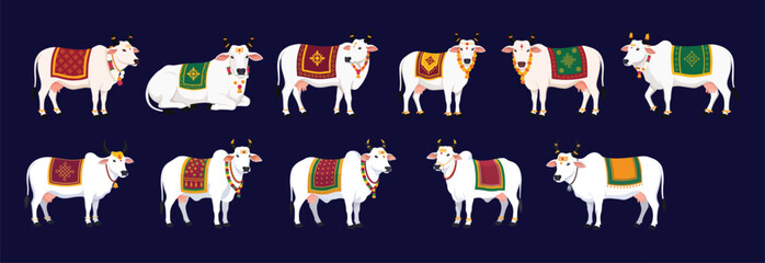 Decorated Indian Cow Collection for Pongal and Makar Sankranti Festival