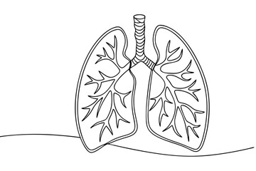 Human lungs single line drawing healthcare anatomy concept illustration