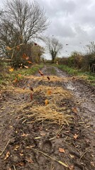 Obraz premium Muddy Pathway Through Countryside with Falling Leaves and Straw