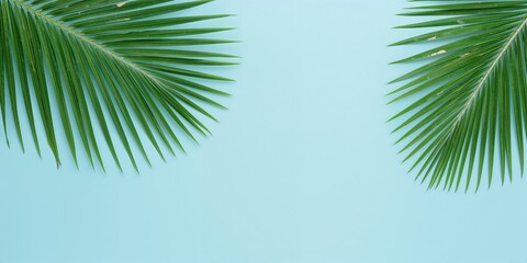 Summer composition with palm leaves on pastel blue background for visual layouts, background for text and design elements, Summer