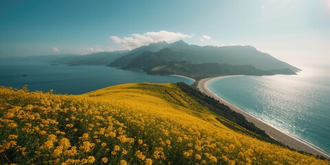 Landscape from above showing a hill with yellow blossoms adjacent to a coastal area with distant mountains and fog
