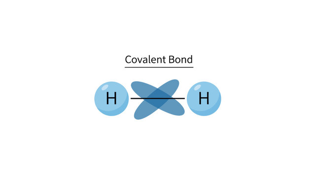 Covalent Bond Diagram