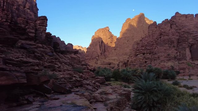 Al-Disah, Saudi Arabia: Panorama of the stunning wadi Al-disah canyon famous for its red rock and palm tree near Tabuk in the desert of Saudi Arabia at dusk. 