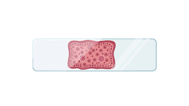 Microscopic view of a tissue sample on a slide