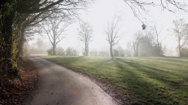 Curving paved path through frosty grass and leafless trees, golden sunlight and mist create a tranquil, ethereal late autumn scene.