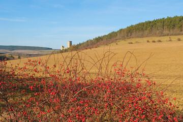 Burg Ehrenstein im Ilm-Kreis in Th&uuml;ringen