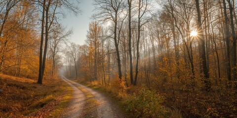 Obraz premium Autumn forest scene with fallen leaves and bare trees during late November, seasonal change awareness day