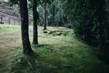 Vale do Alcantilado, Visconde de Mau&aacute;