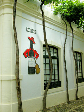 Esquina de la calle Ciegos cubierta de parras con el logotipo de la Bodega Gonz&aacute;lez Byass T&iacute;o Pepe en Jerez de la Frontera, provincia de C&aacute;diz, Andaluc&iacute;a, Espa&ntilde;a. Vinos de Jerez.